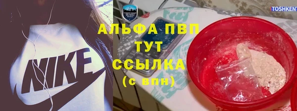 гашик Белоозёрский