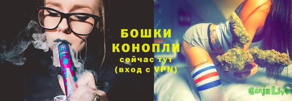 индика Беломорск