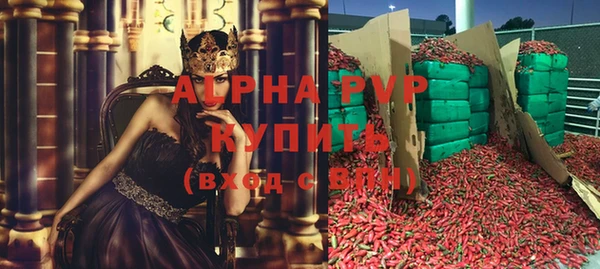 индика Беломорск
