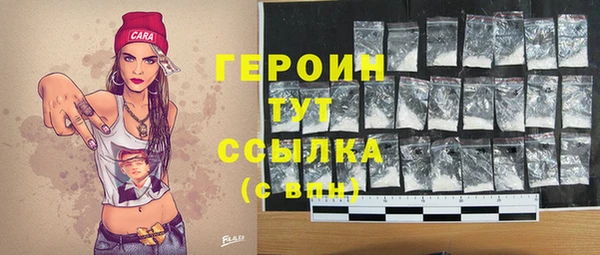 индика Беломорск