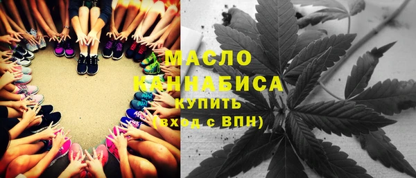 индика Беломорск