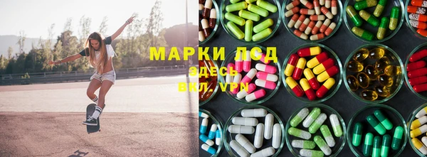 индика Беломорск