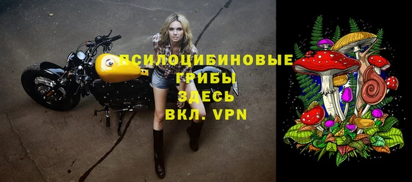 гашик Белоозёрский