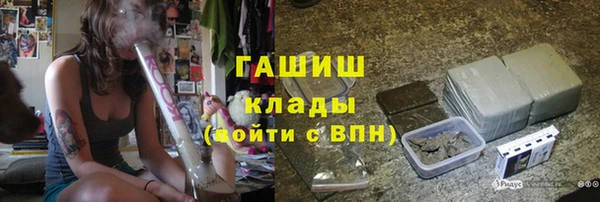 индика Беломорск