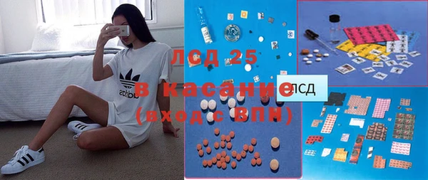 индика Беломорск
